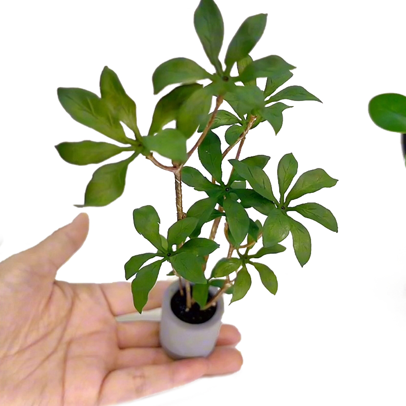 Bonsai Garden Kit - Modelo de plantas en maceta en