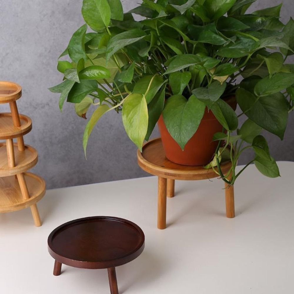 Bonsai Garden Kit - Soporte Creativo para Macetas de Flores