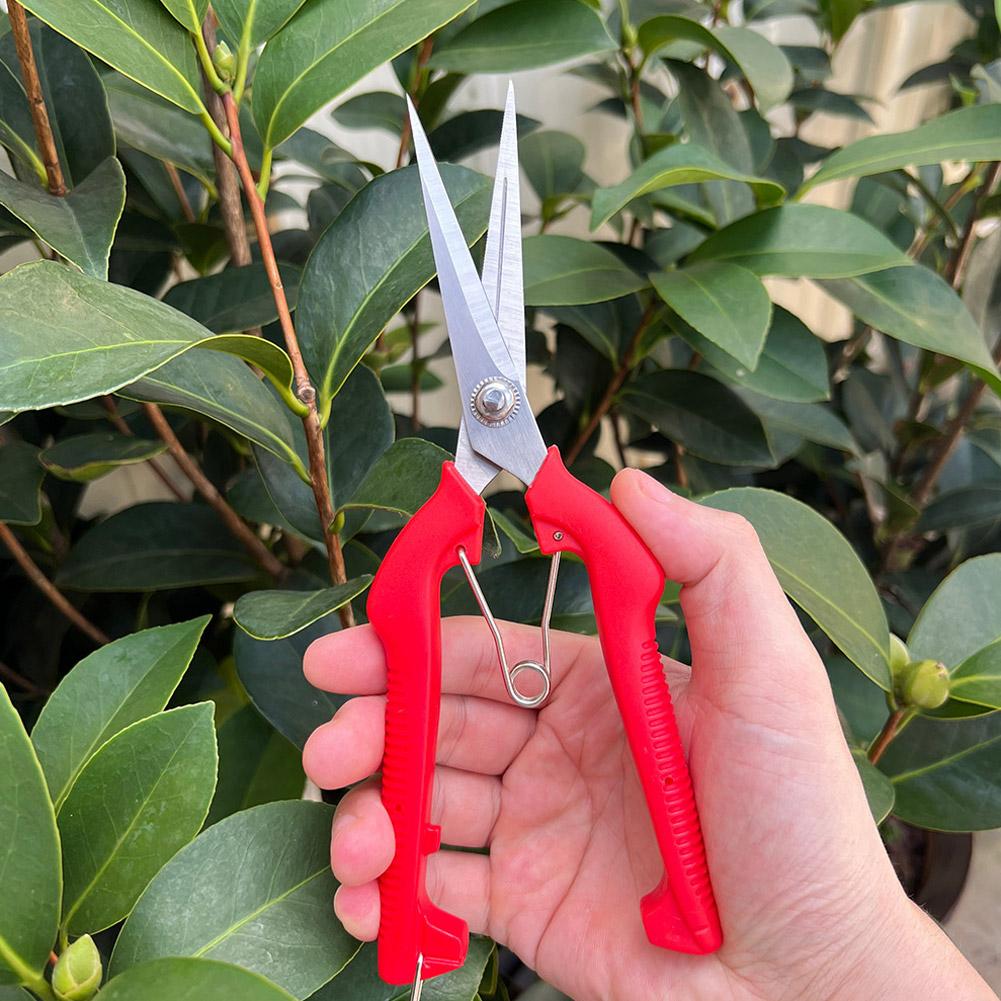 Bonsai Garden Tools - Tijeras de Podar Profesionales para Jardín,