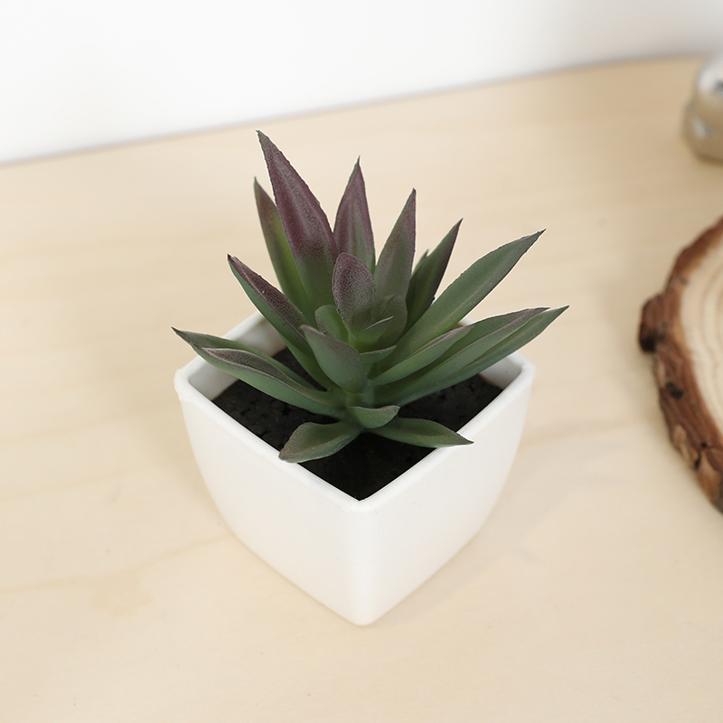 Bonsai Garden Kit - Mini taza de hadas suculenta Artificial,