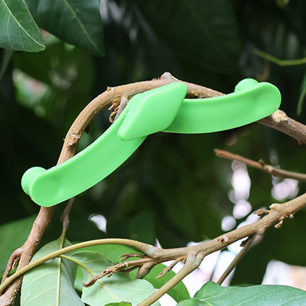 5 unidades de estabilizador de - Bonsai Garden Tools reseña y precio