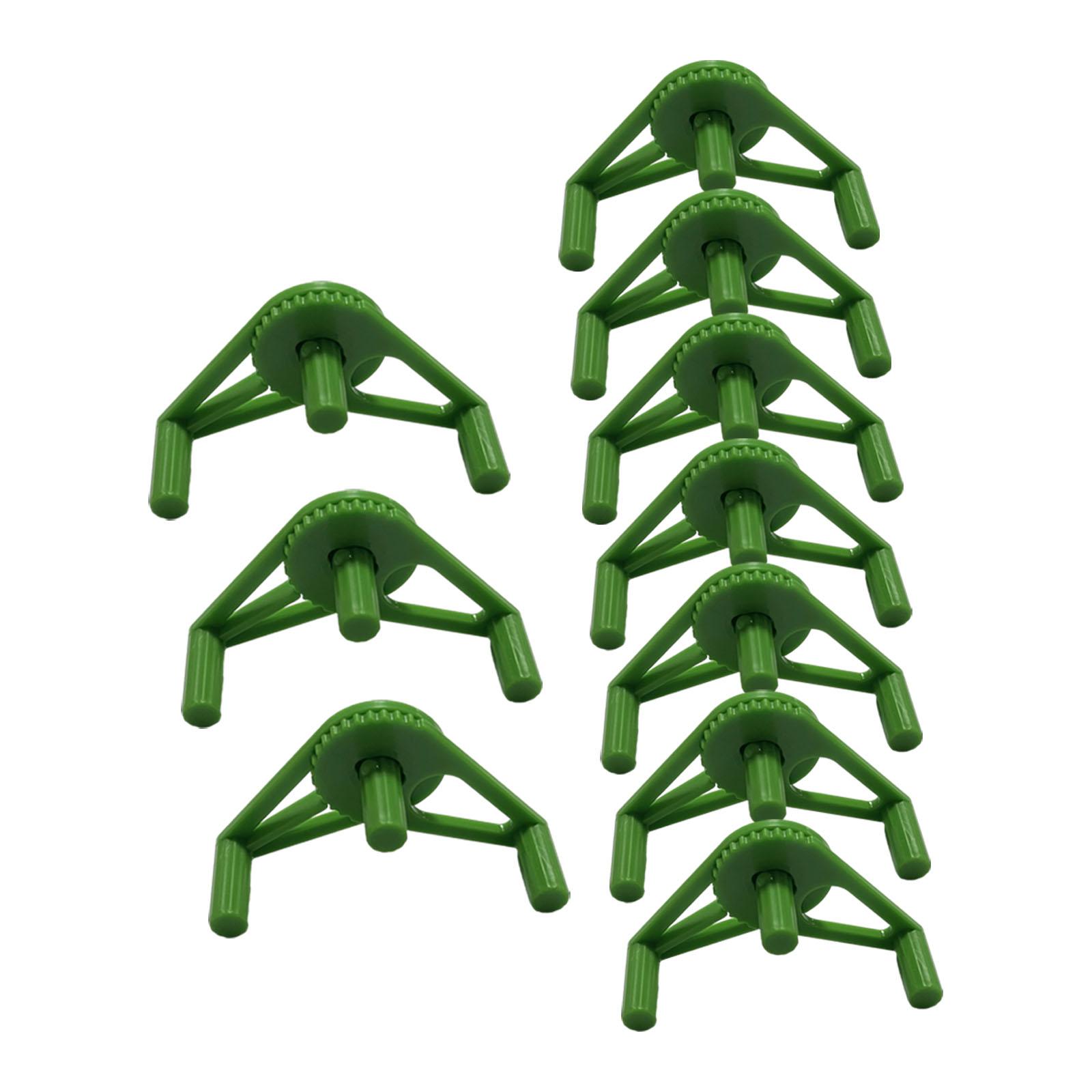 Clips de Entrenamiento Ajustab - Bonsai Garden Tools reseña y precio