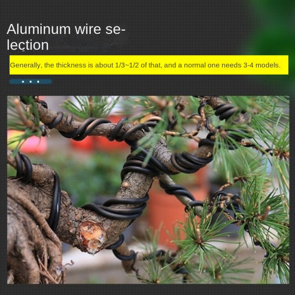 Alambre de Aluminio para Bonsá - Bonsai Garden Tools reseña y precio