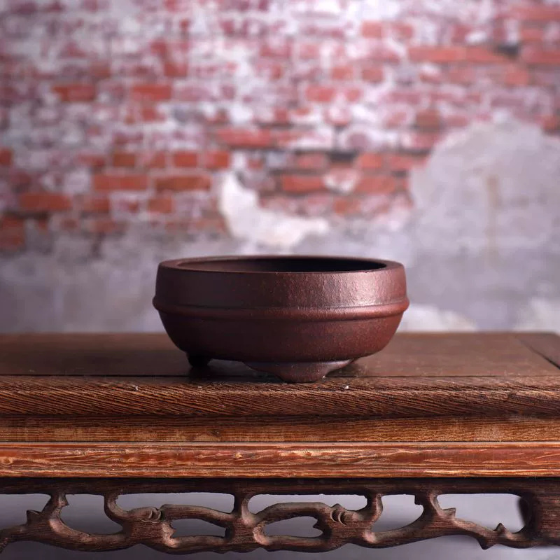 Maceta de bonsái de cintura ci - Bonsai Garden Decor reseña y precio