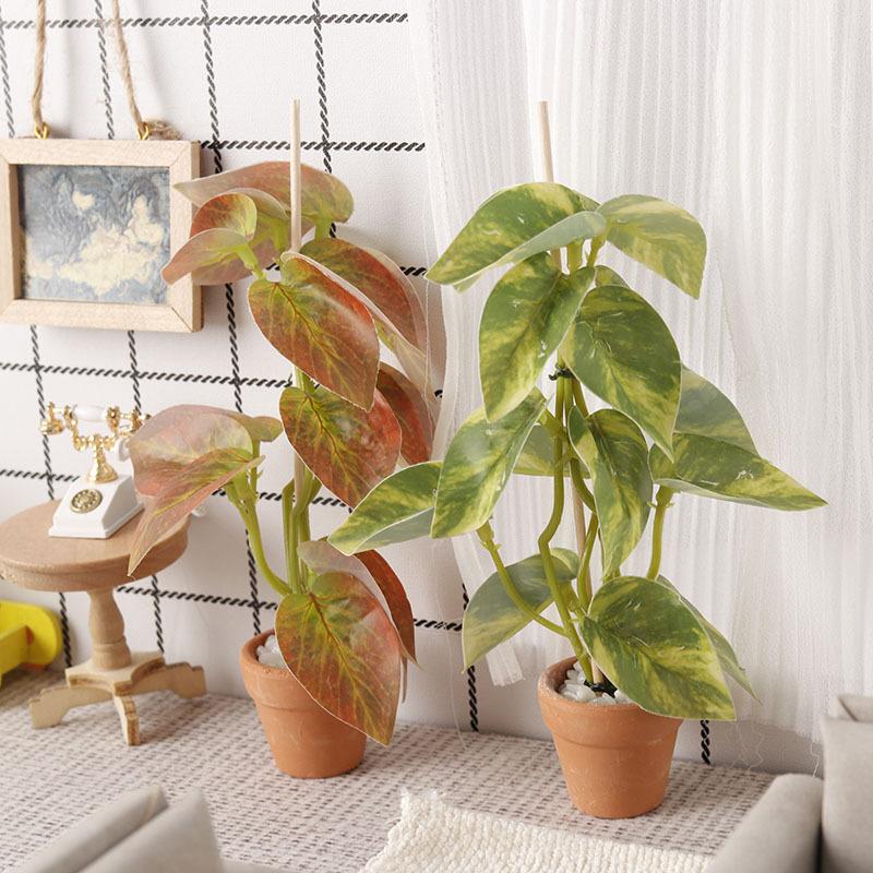 1/12 casa de muñecas simulació - Bonsai Garden Decor reseña y precio
