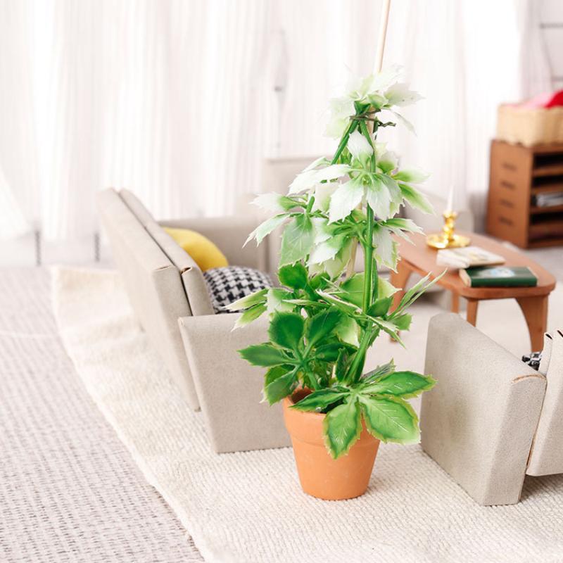 1/12 casa de muñecas simulació - Bonsai Garden Decor reseña y precio