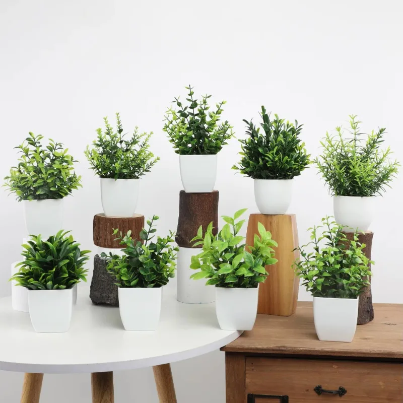 Venta al por mayor OEM/ODM Min - Bonsai Garden Kit reseña y precio