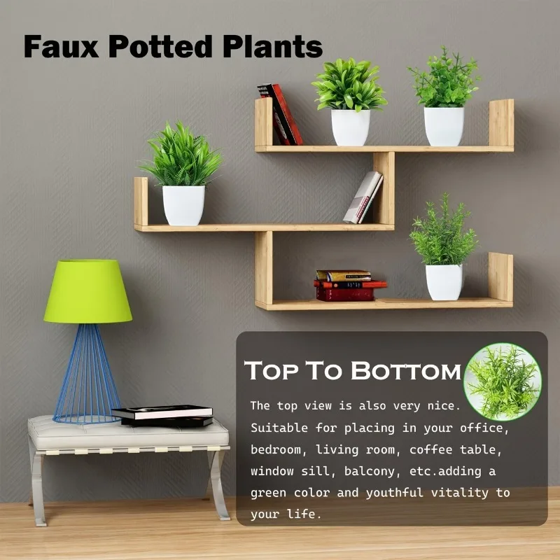 Venta al por mayor OEM/ODM Min - Bonsai Garden Kit reseña y precio