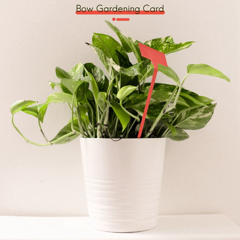 ABYP Herramientas para plantar - Bonsai Garden Tools reseña y precio