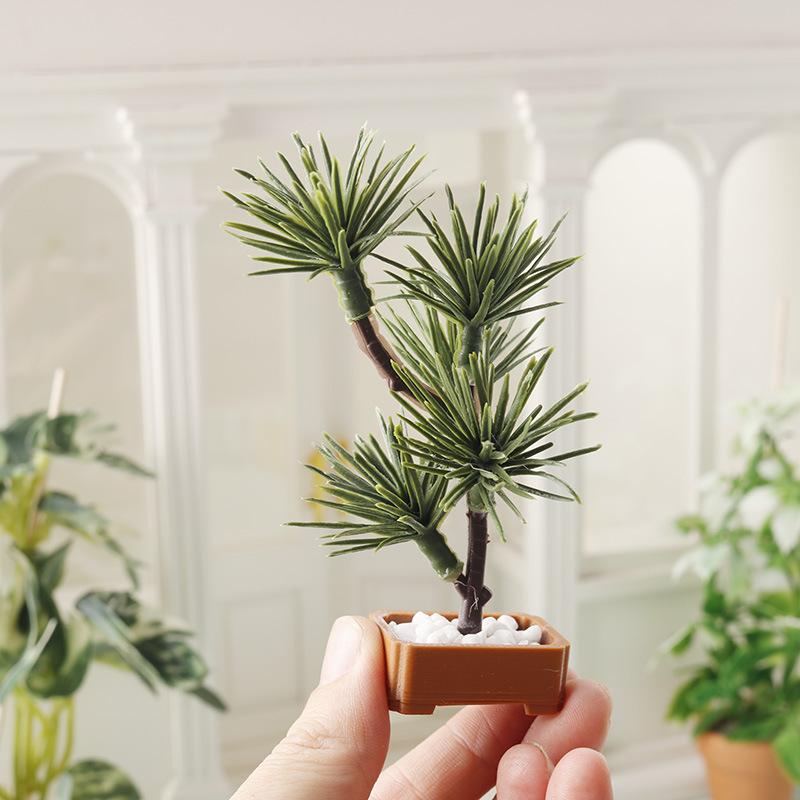 1 unidad de árbol de pino de s - Bonsai Garden Decor reseña y precio