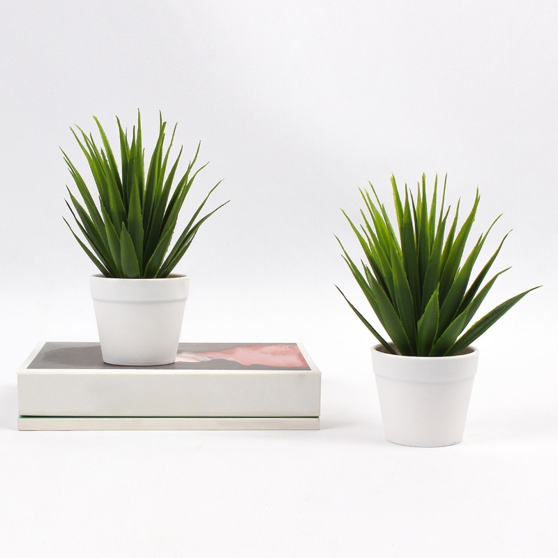 1 unidad de plantas en macetas - Bonsai Garden Kit reseña y precio