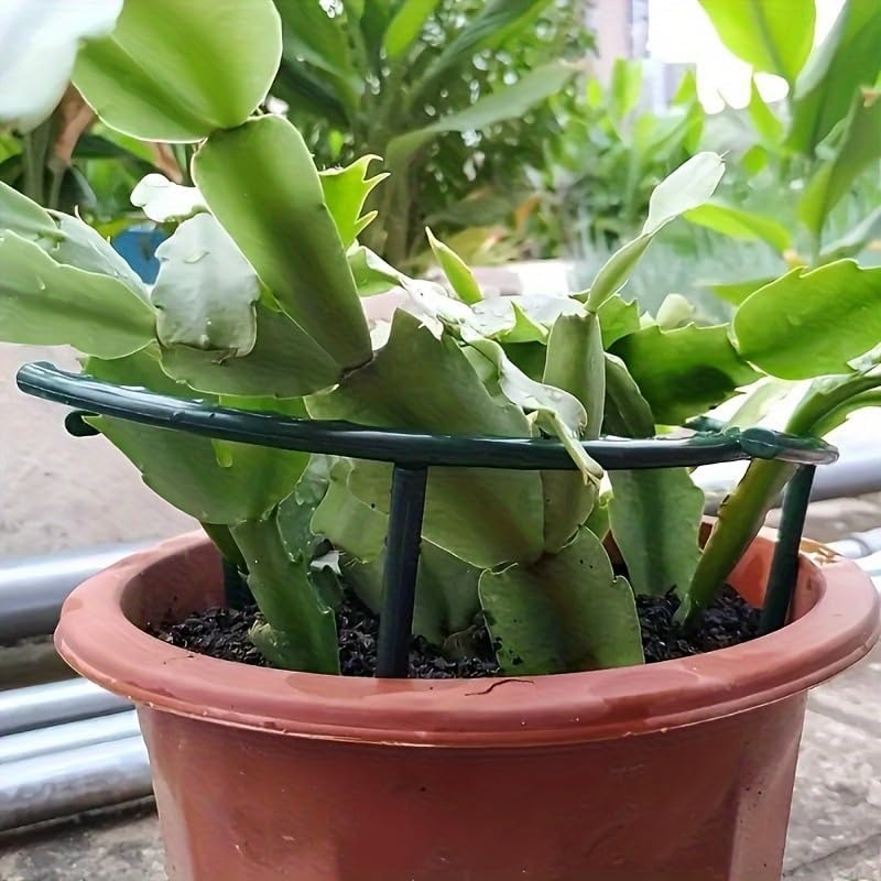 30-1PCS Soporte de Plástico Se - Bonsai Garden Tools reseña y precio