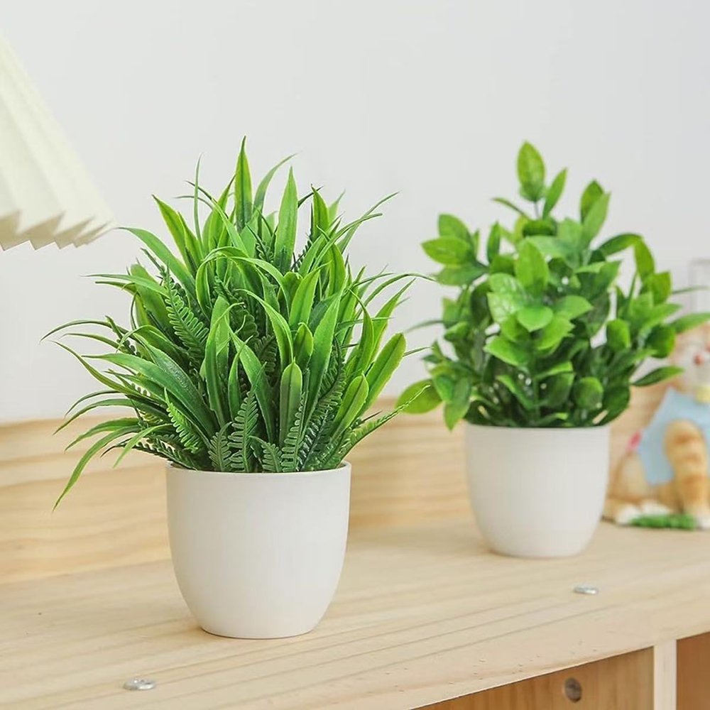 Juego de 4 Mini Plantas Artifi - Bonsai Garden Kit reseña y precio
