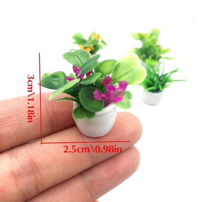 Planta de casa de muñecas, pla - Bonsai Garden Kit reseña y precio