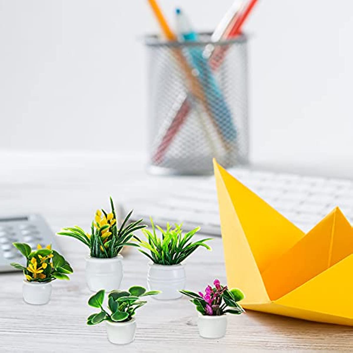 Planta de casa de muñecas, pla - Bonsai Garden Kit reseña y precio