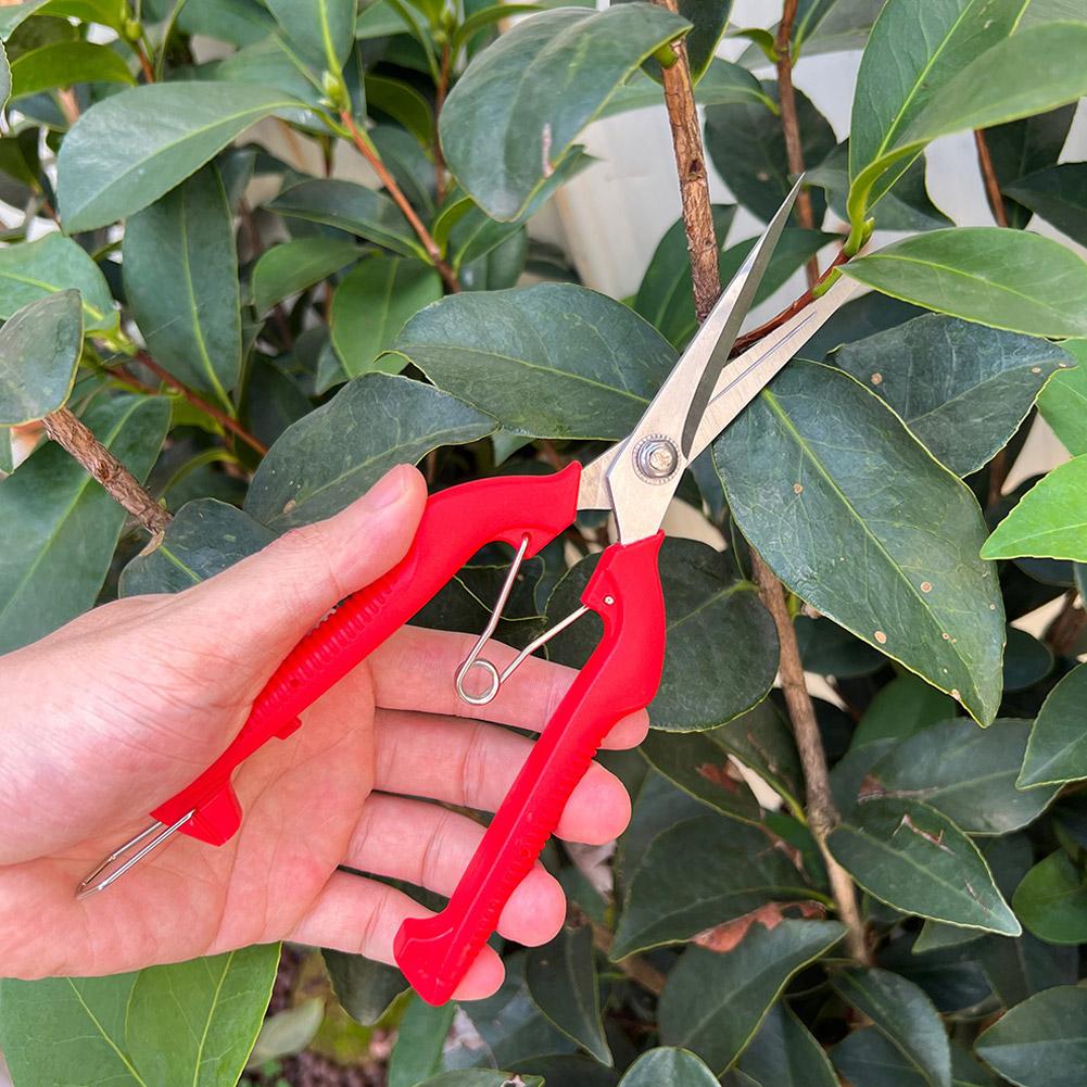 Tijeras de Podar Profesionales - Bonsai Garden Tools reseña y precio