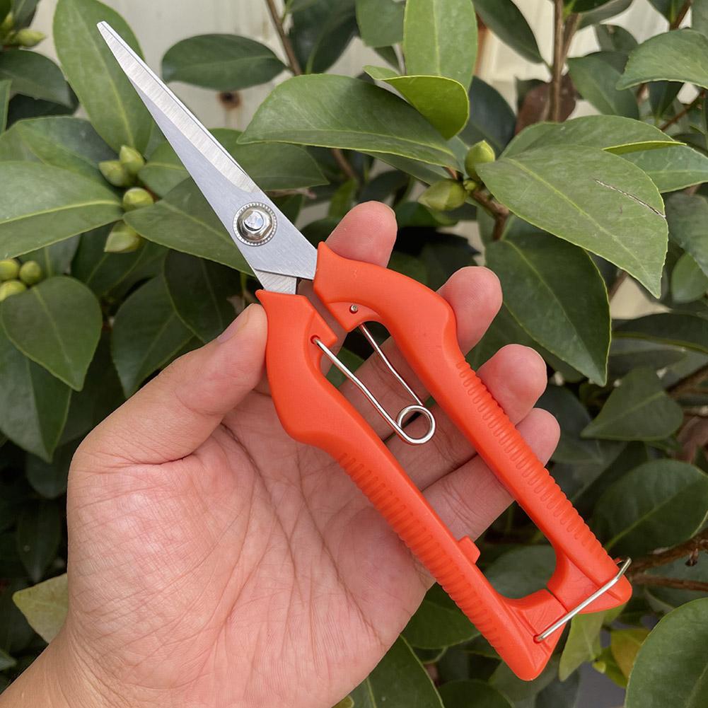 Tijeras de Podar Profesionales - Bonsai Garden Tools reseña y precio