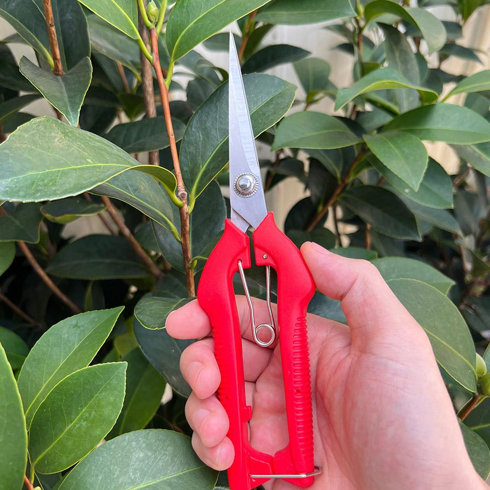 Tijeras de Podar Profesionales - Bonsai Garden Tools reseña y precio