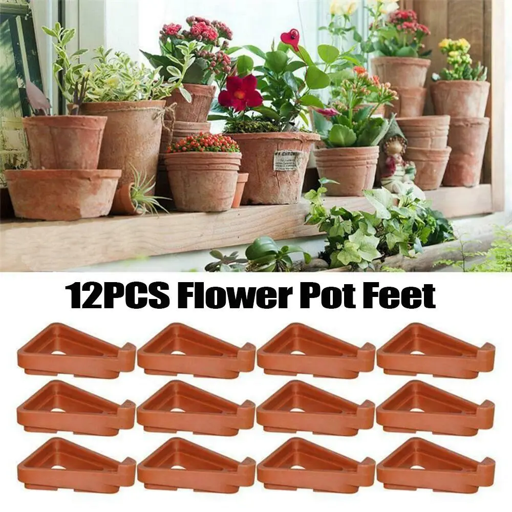 Soporte para Bonsái, Base para - Bonsai Garden Kit reseña y precio