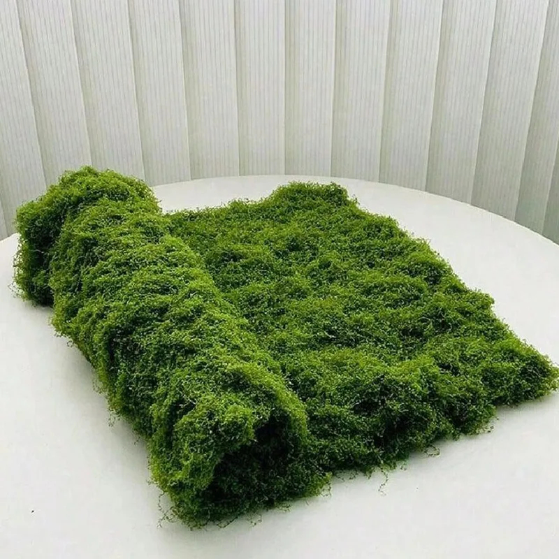 Musgo artificial para decoraci - Bonsai Garden Kit reseña y precio