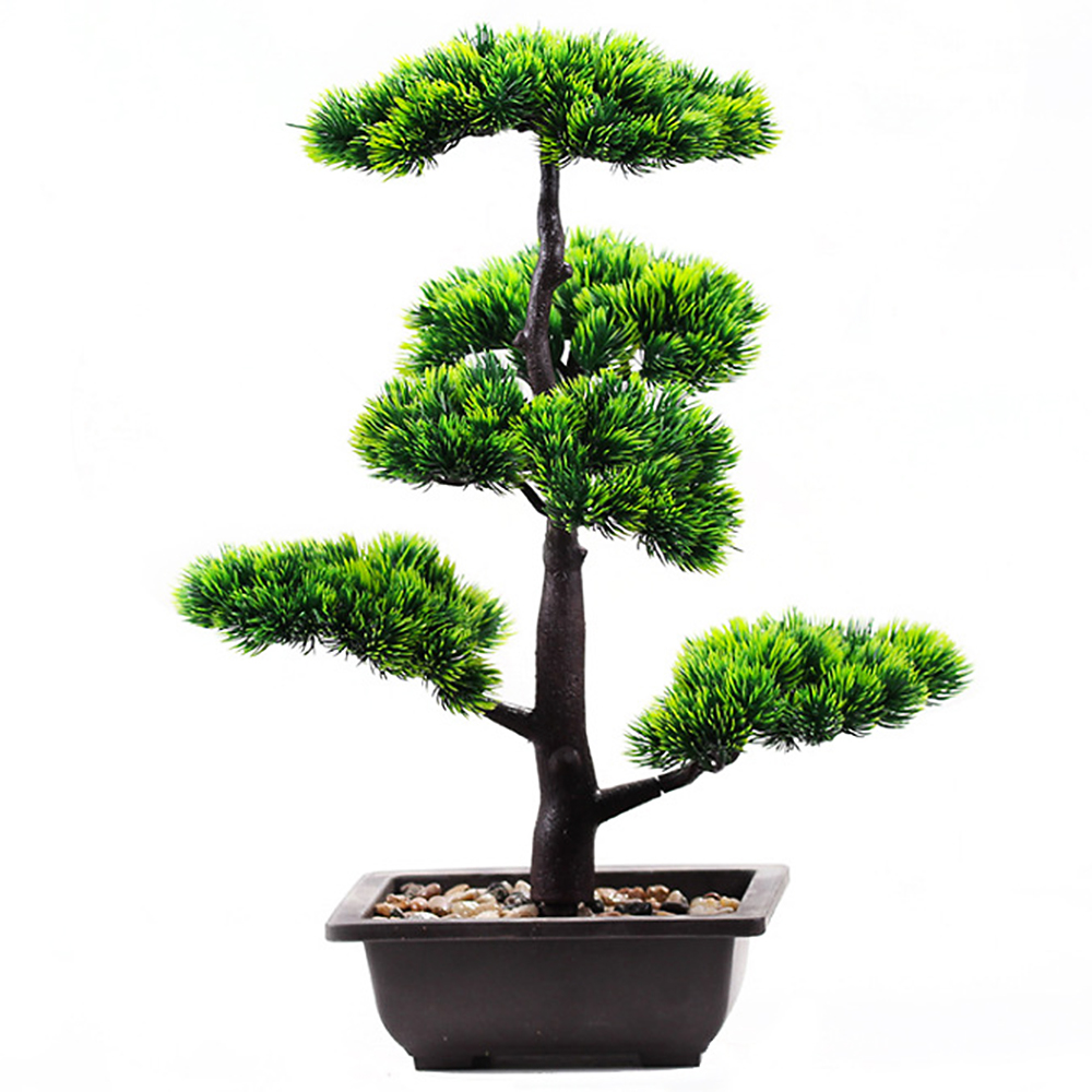 Plantas artificiales de pino d - Bonsai Garden Kit reseña y precio