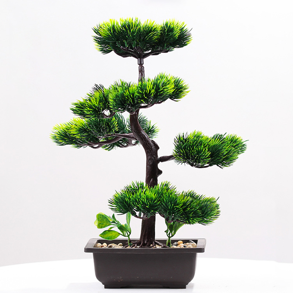 Plantas artificiales de pino d - Bonsai Garden Kit reseña y precio