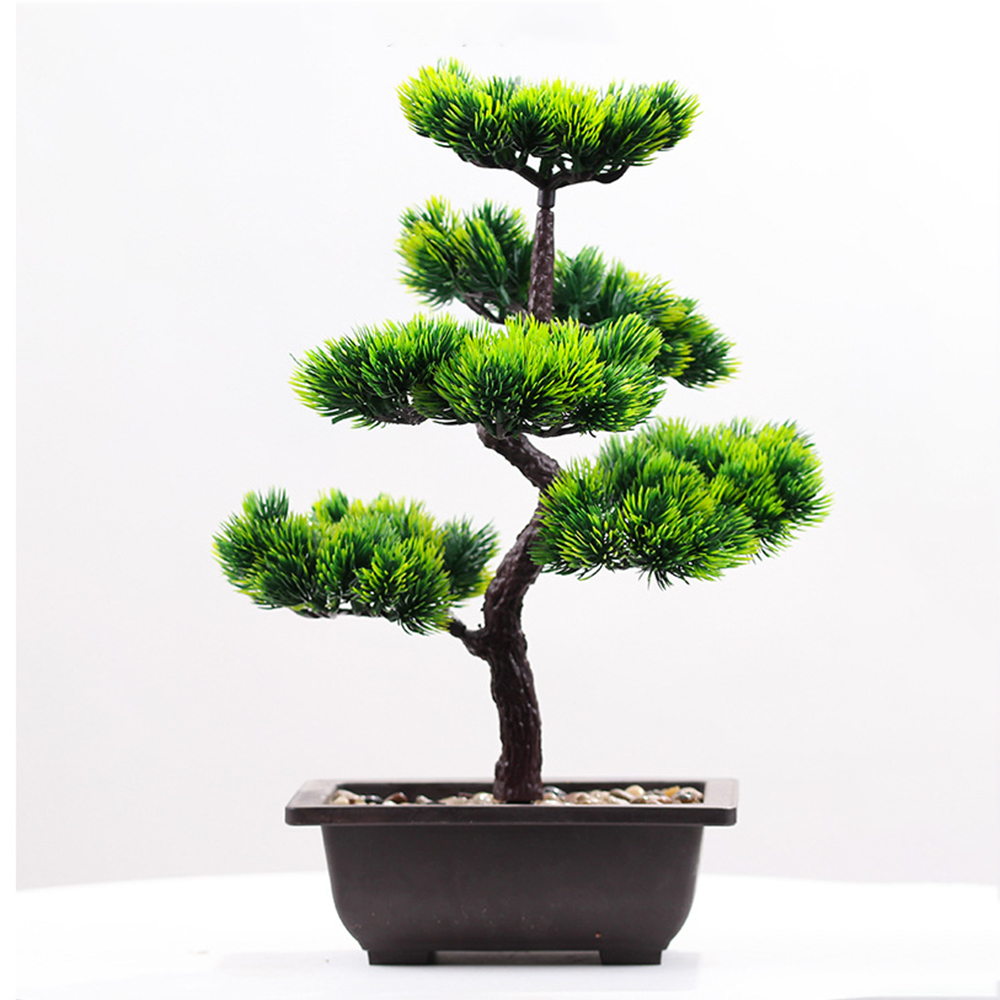 Plantas artificiales de pino d - Bonsai Garden Kit reseña y precio