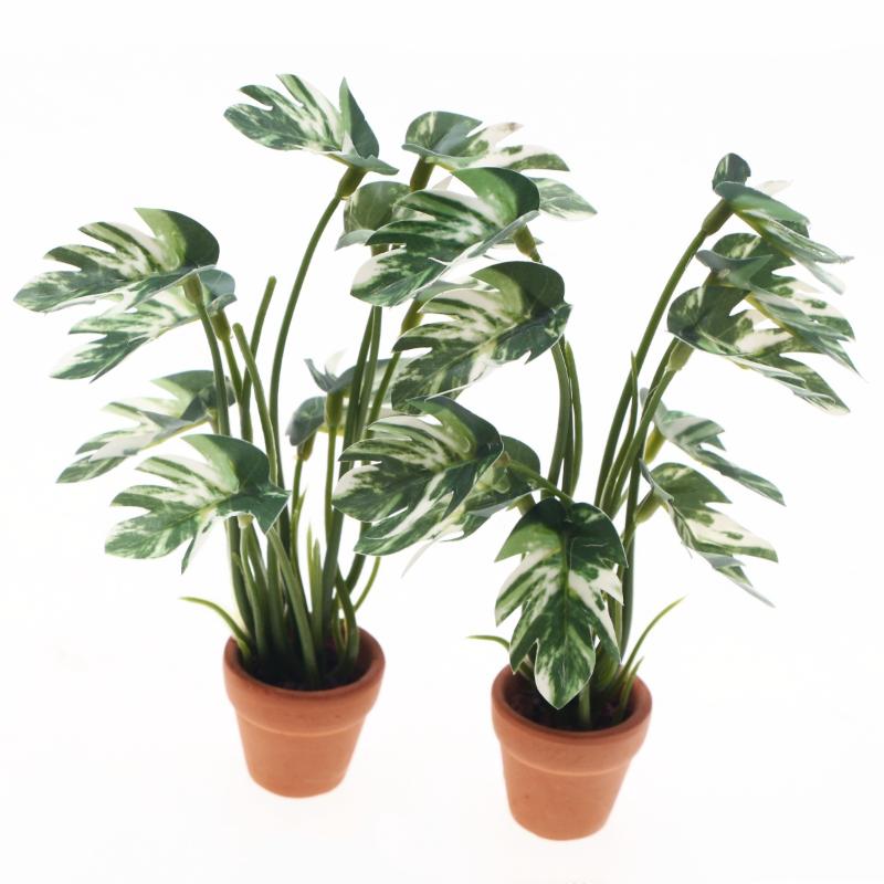 Nuevo. 1 unidad. Planta verde  - Bonsai Garden Decor reseña y precio