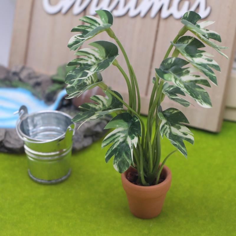 Nuevo. 1 unidad. Planta verde  - Bonsai Garden Decor reseña y precio