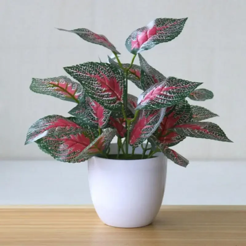 Plantas artificiales bonsái, p - Bonsai Garden Kit reseña y precio
