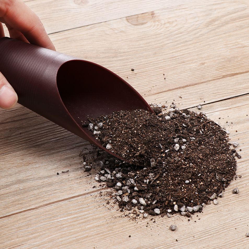 Pala de suelo de plástico para - Bonsai Garden Tools reseña y precio