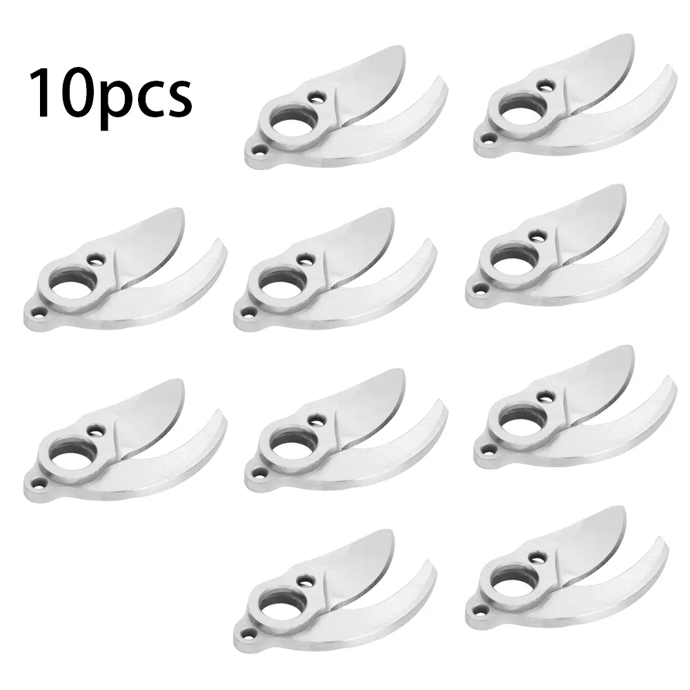 5-10 unids/set de cuchillas re - Bonsai Garden Decor reseña y precio